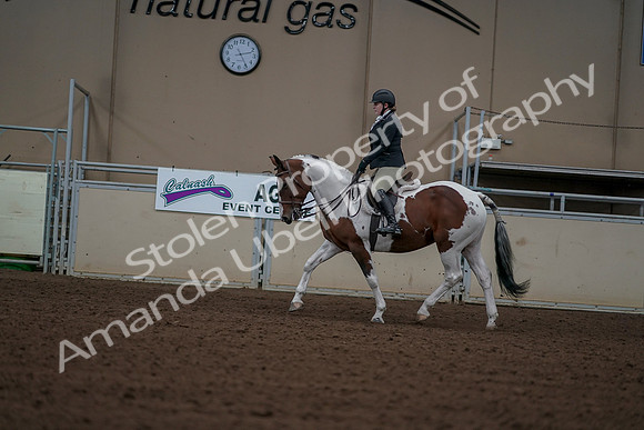 2019 Morgan Horse Show - Aug 30, 2019 - 14914