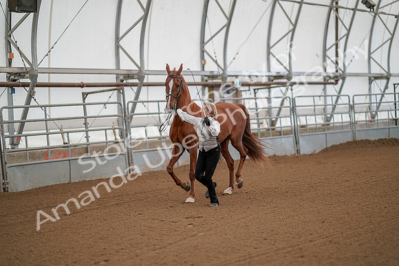 July 19, 2019 - 57