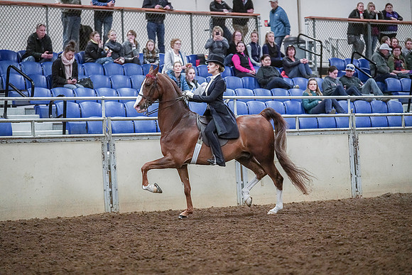 Spring Fling - Saturday - April 20, 2019  -  04090