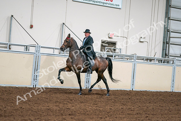 2020 - AB Morgan Horse - Sat, Sept 05 - 08111