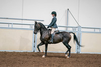 2020 - AB Morgan Horse - Sat, Sept 05 - 09065
