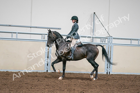 2020 - AB Morgan Horse - Sat, Sept 05 - 09065