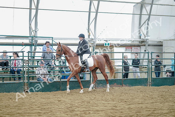 July 21, 2019 - 09586