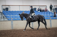 2019 Morgan Horse Show - Aug 31, 2019 - 14637