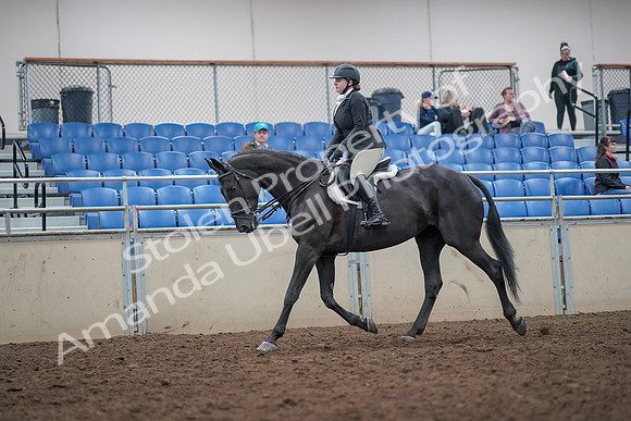 2019 Morgan Horse Show - Aug 31, 2019 - 14637