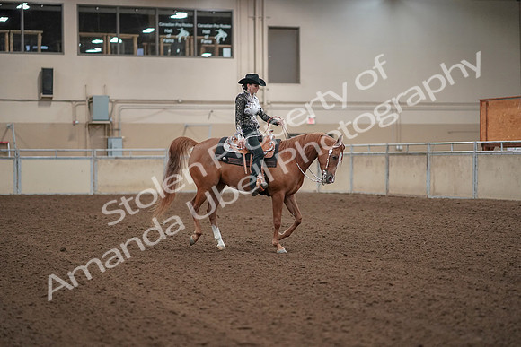2019 Morgan Horse Show - Aug 30, 2019 - 26222