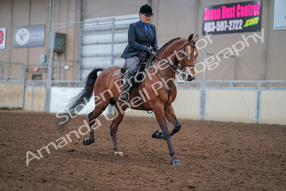 2019 Morgan Horse Show - Aug 30, 2019 - 20892