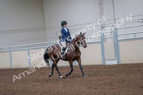 2020 - AB Morgan Horse - Fri, Sept 04 - 06061