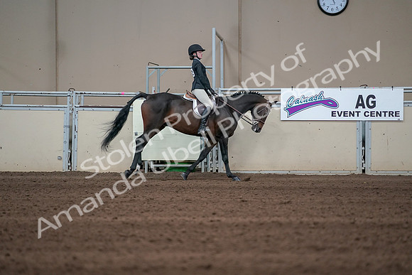 2019 Morgan Horse Show - Sept 01, 2019 - 03915