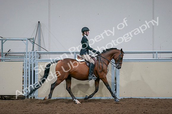 2020 - AB Morgan Horse - Fri, Sept 04 - 06024