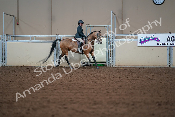 2019 Morgan Horse Show - Aug 30, 2019 - 20794