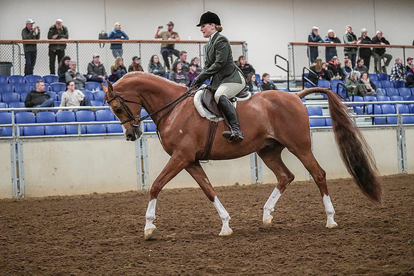 Spring Fling - Saturday - April 20, 2019  -  04525