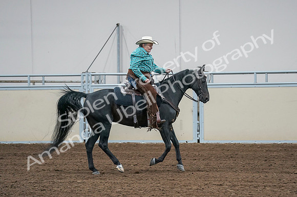 2020 - AB Morgan Horse - Fri, Sept 04 - 00608