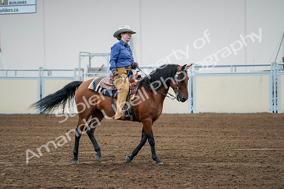 2020 - AB Morgan Horse - Fri, Sept 04 - 00245