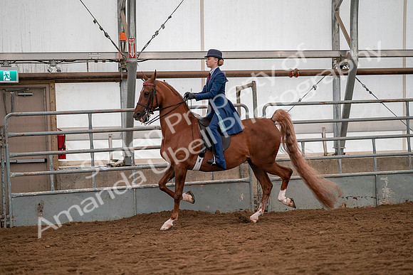 July 19, 2019 - 10233