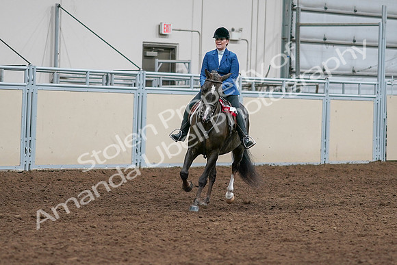 2020 - AB Morgan Horse - Sat, Sept 05 - 05235