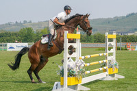 jasper - wed- bay fuzzy noseband -male rider