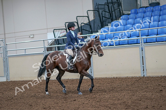 2020 - AB Morgan Horse - Fri, Sept 04 - 06075