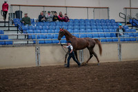 2019 Morgan Horse Show - Aug 31, 2019 - 02579