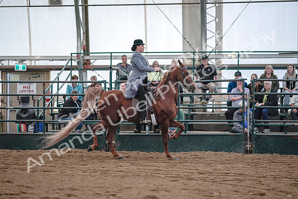 July 20, 2019 - 17151