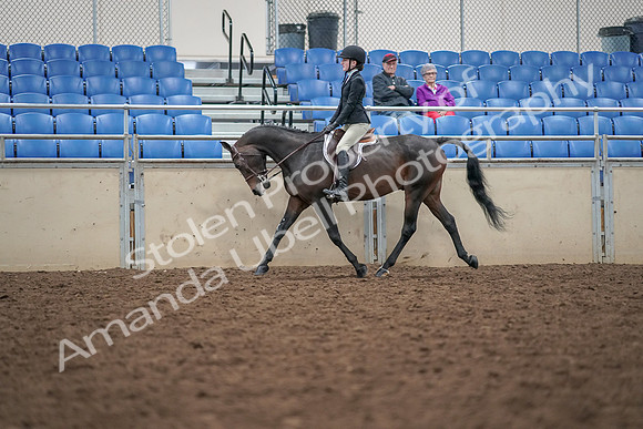 2019 Morgan Horse Show - Aug 30, 2019 - 20312