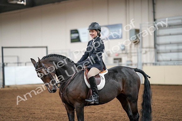 2020 - AB Morgan Horse - Fri, Sept 04 - 02076