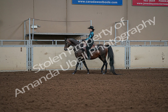 2019 Morgan Horse Show - Aug 30, 2019 - 26127