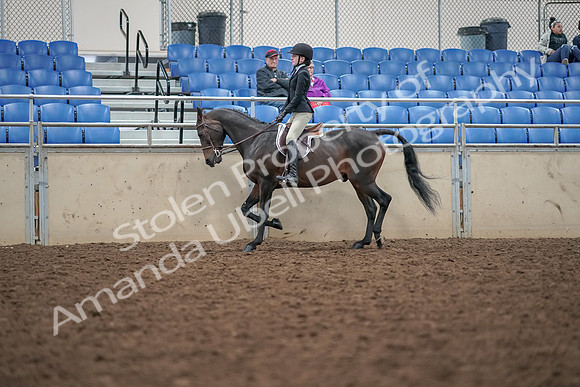 2019 Morgan Horse Show - Aug 30, 2019 - 20308