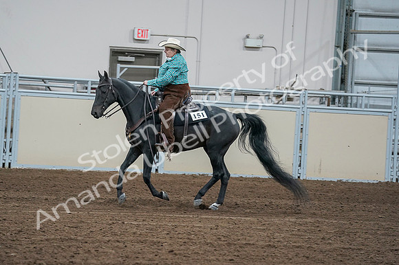 2020 - AB Morgan Horse - Fri, Sept 04 - 00471