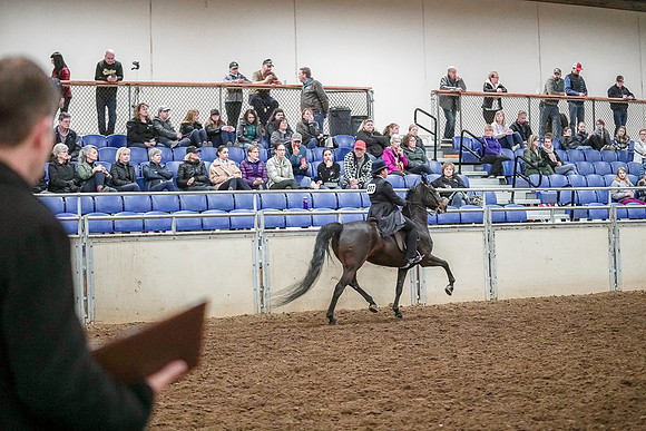 Spring Fling - Saturday - April 20, 2019  -  04299