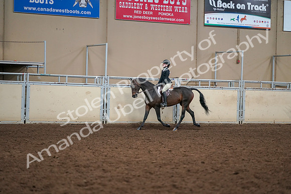 2019 Morgan Horse Show - Aug 30, 2019 - 12201