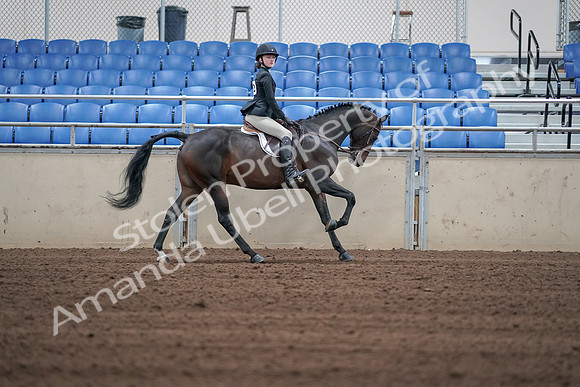 2019 Morgan Horse Show - Sept 01, 2019 - 03892