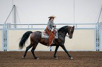 2020 - AB Morgan Horse - Fri, Sept 04 - 00418