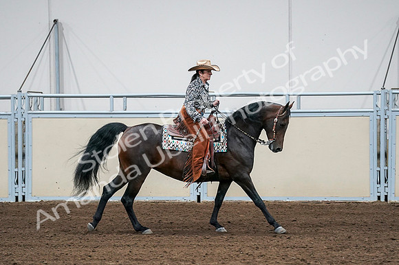 2020 - AB Morgan Horse - Fri, Sept 04 - 00418