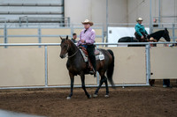 2020 - AB Morgan Horse - Fri, Sept 04 - 00533