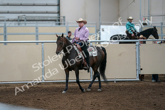 2020 - AB Morgan Horse - Fri, Sept 04 - 00533