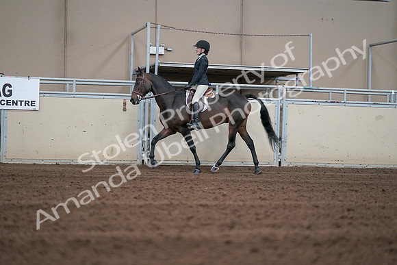 2019 Morgan Horse Show - Sept 01, 2019 - 03670