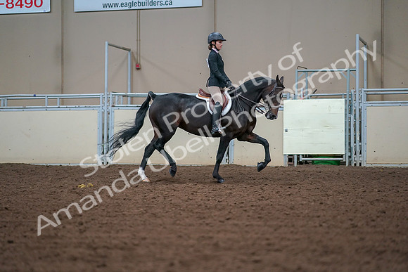 2019 Morgan Horse Show - Aug 30, 2019 - 20773