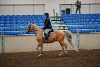 2019 Morgan Horse Show - Aug 30, 2019 - 22181