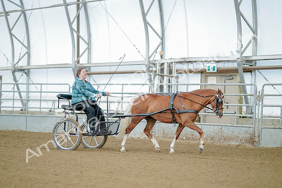 July 21, 2019 - 09202