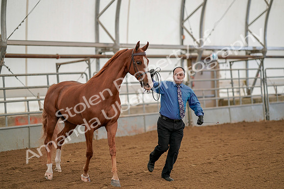 July 19, 2019 - 922