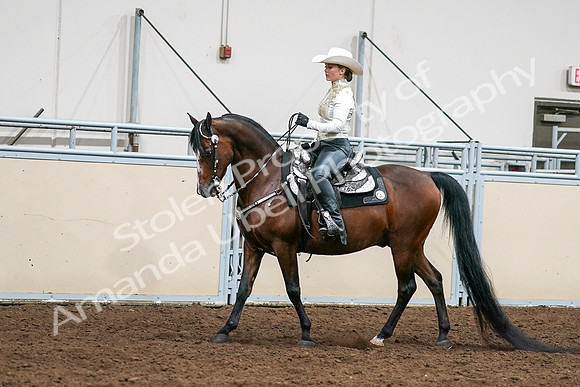 2020 - AB Morgan Horse - Sat, Sept 05 - 08978