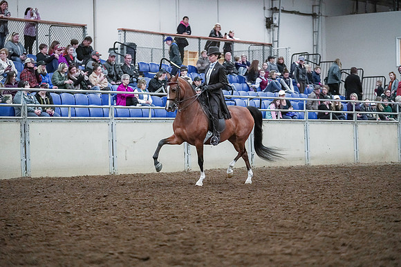 Spring Fling - Saturday - April 20, 2019  -  00657
