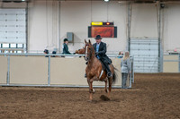2020 - AB Morgan Horse - Sat, Sept 05 - 09364