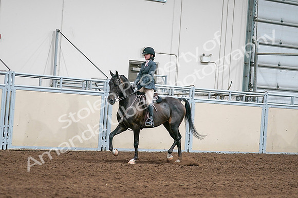 2020 - AB Morgan Horse - Sat, Sept 05 - 09051