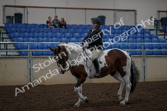 2019 Morgan Horse Show - Aug 30, 2019 - 31192