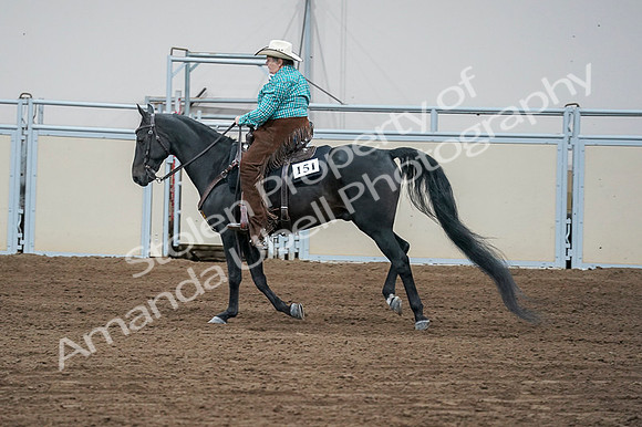 2020 - AB Morgan Horse - Fri, Sept 04 - 00482