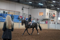 2019 Morgan Horse Show - Aug 30, 2019 - 12126