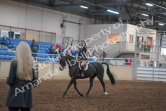 2019 Morgan Horse Show - Aug 30, 2019 - 12126