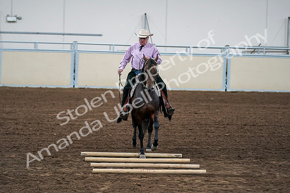 2020 - AB Morgan Horse - Fri, Sept 04 - 00574